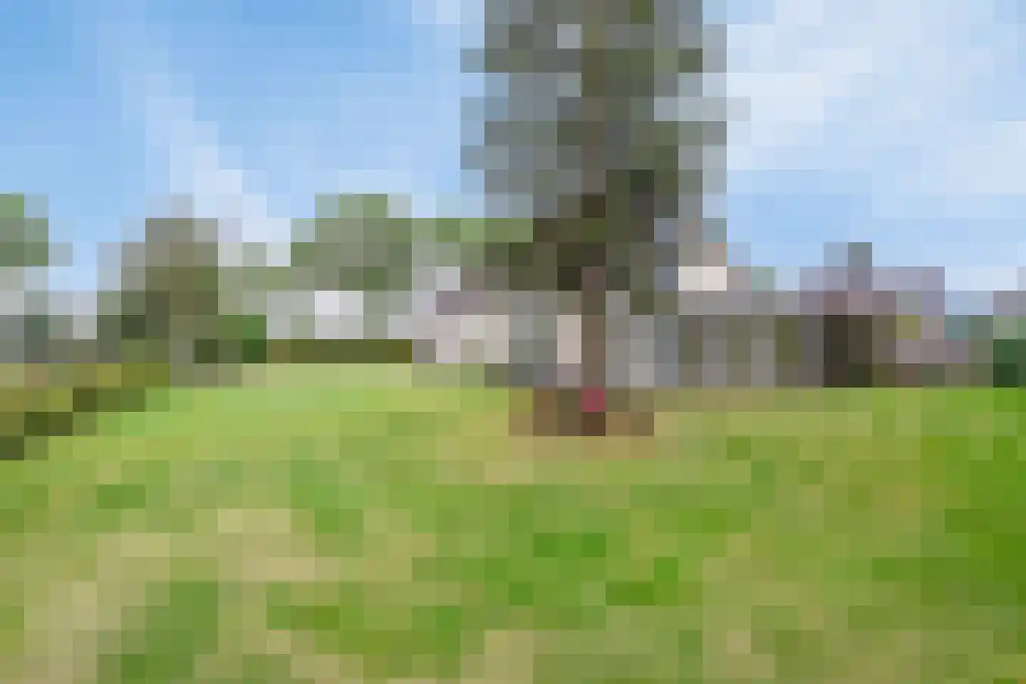 Voltastraat 20 Bergen op Zoom thumbnail 69