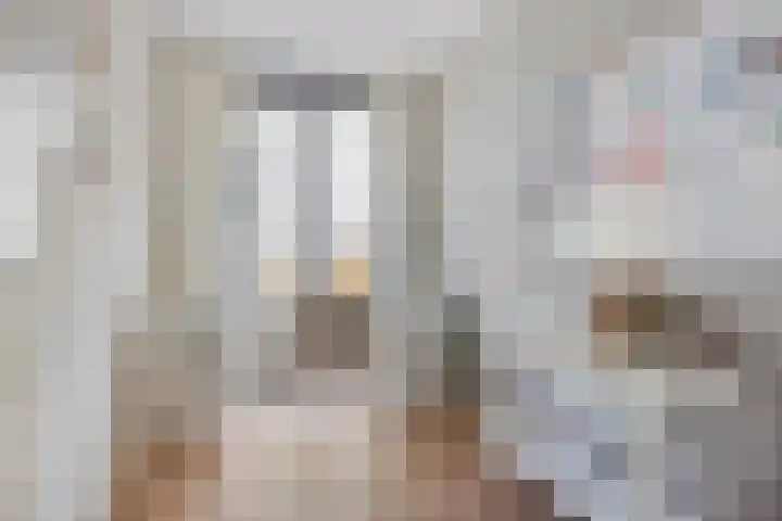 Voltastraat 201 's-Hertogenbosch thumbnail 12