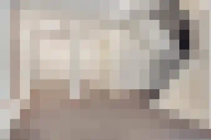 Voltastraat 201 's-Hertogenbosch thumbnail 15