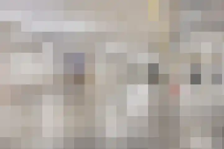 Voltastraat 201 's-Hertogenbosch thumbnail 17