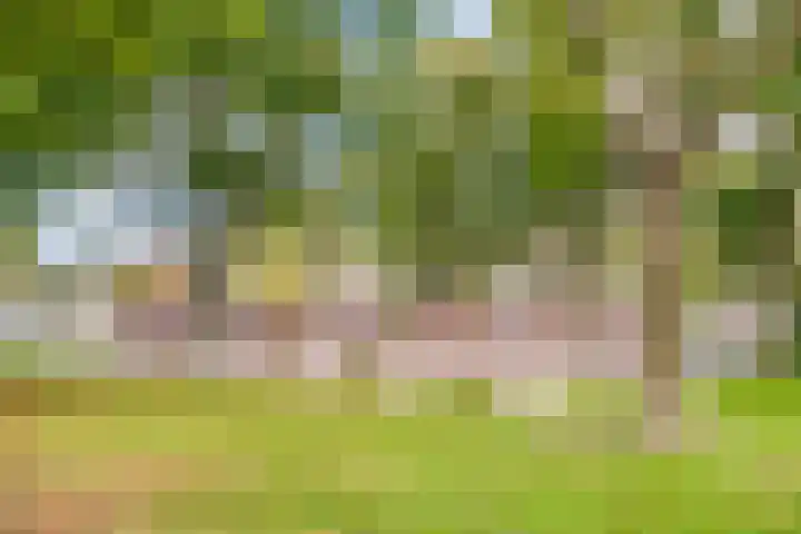 Voltastraat 201 's-Hertogenbosch thumbnail 20