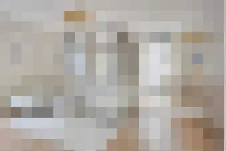 Voltastraat 201 's-Hertogenbosch thumbnail 6