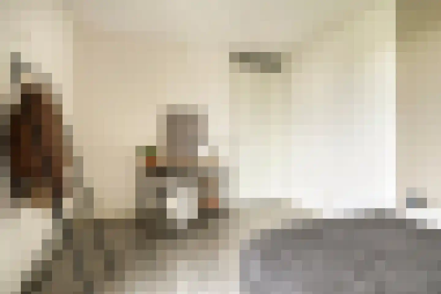 Voltastraat 213 's-Hertogenbosch thumbnail 11