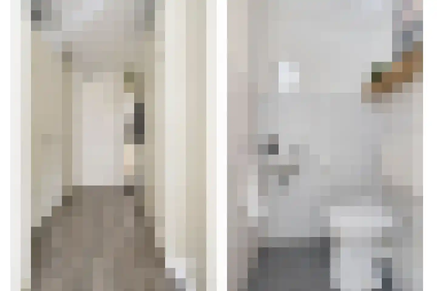 Voltastraat 213 's-Hertogenbosch thumbnail 13