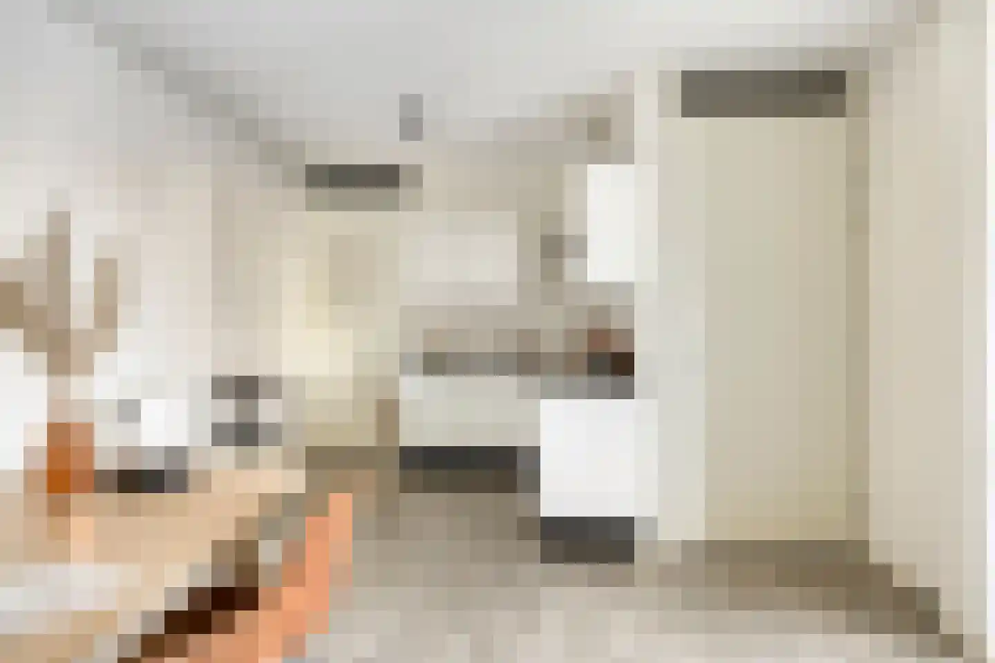 Voltastraat 213 's-Hertogenbosch thumbnail 4