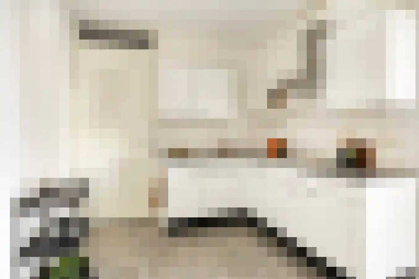 Voltastraat 213 's-Hertogenbosch thumbnail 5