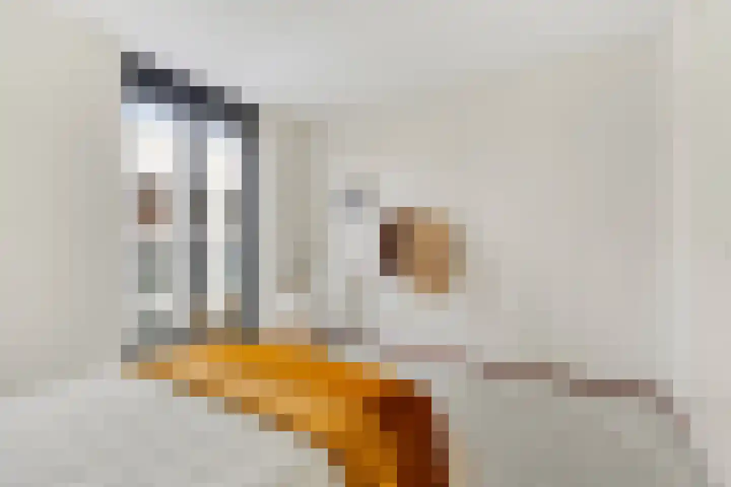 Voltastraat 217 's-Hertogenbosch thumbnail 11