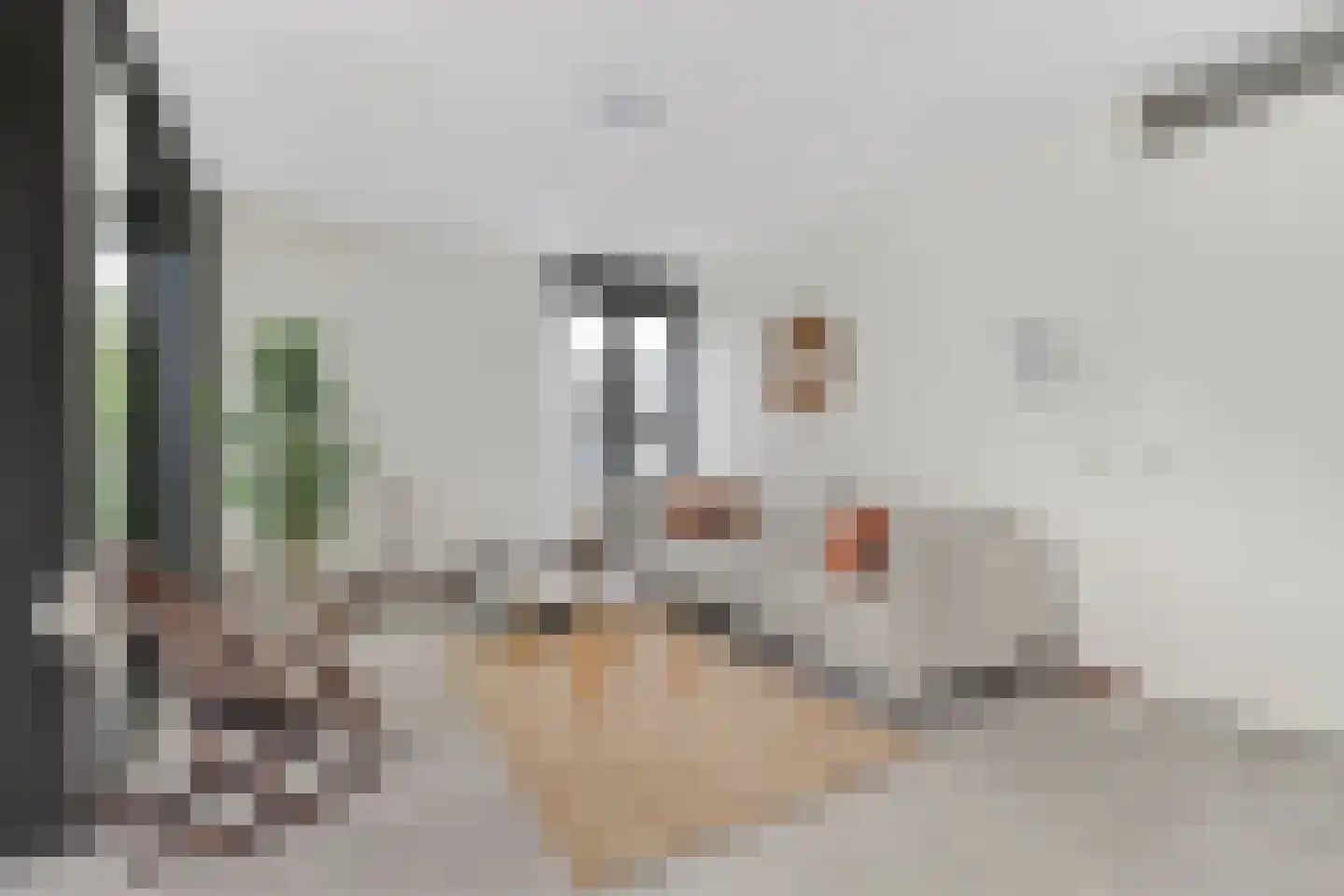 Voltastraat 217 's-Hertogenbosch thumbnail 8