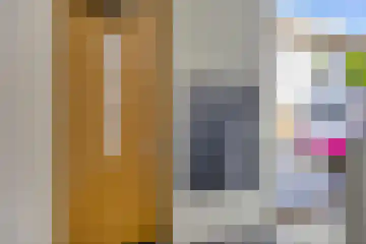 Voltastraat 223 's-Hertogenbosch thumbnail 21