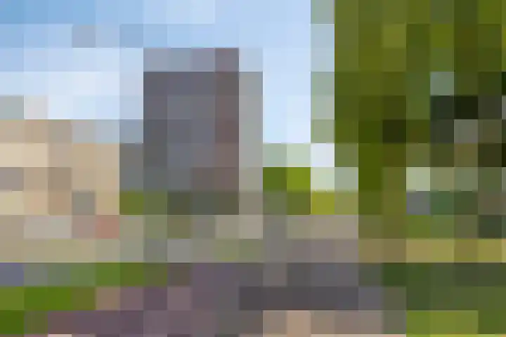 Voltastraat 223 's-Hertogenbosch thumbnail 25