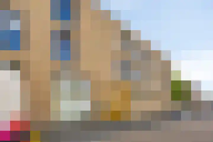 Voltastraat 223 's-Hertogenbosch thumbnail 30