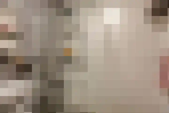 Voltastraat 223 's-Hertogenbosch thumbnail 4
