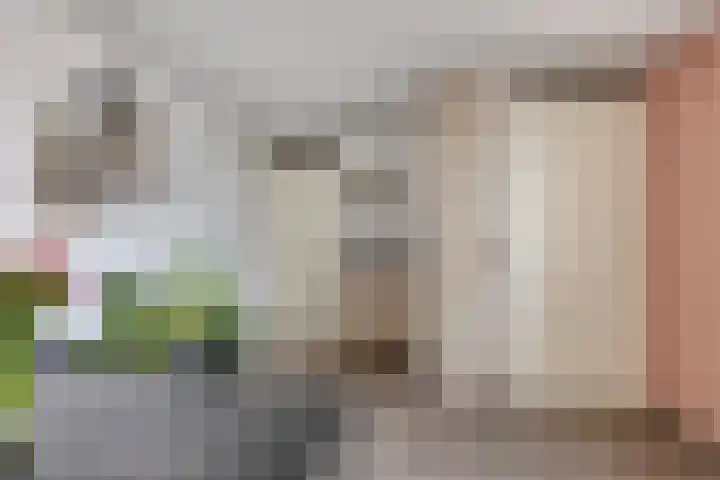Voltastraat 223 's-Hertogenbosch thumbnail 9
