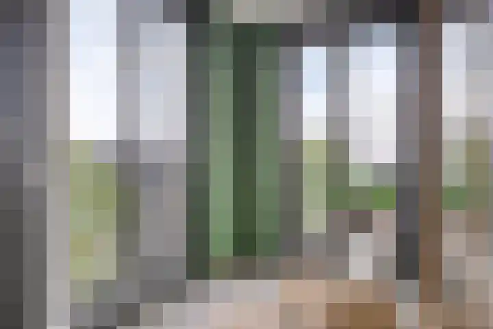 Voltastraat 227 's-Hertogenbosch thumbnail 8