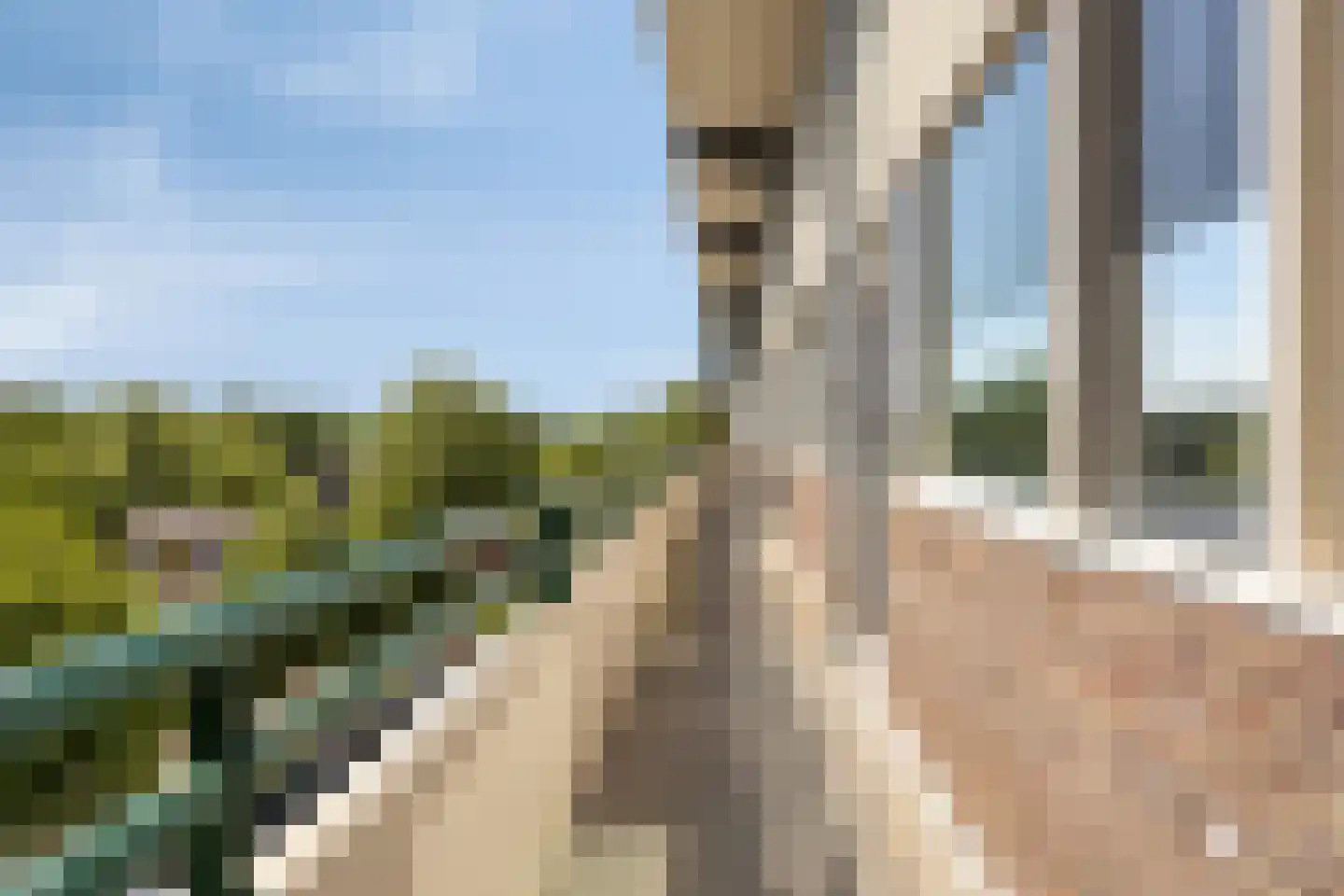 Voltastraat 31 Apeldoorn thumbnail 23