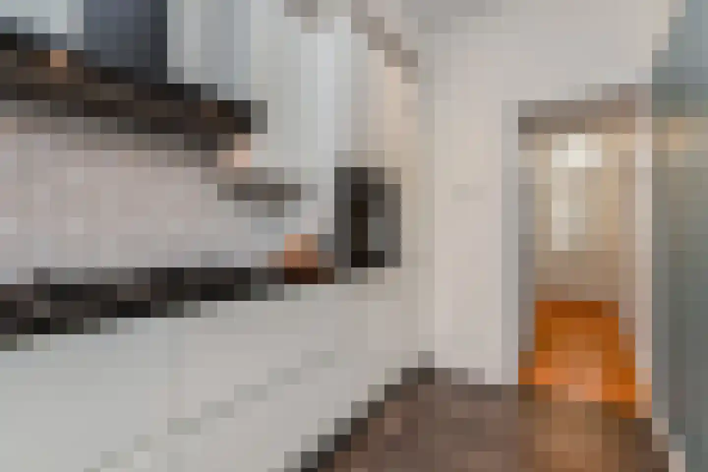 Voltastraat 54 Den Haag thumbnail 19
