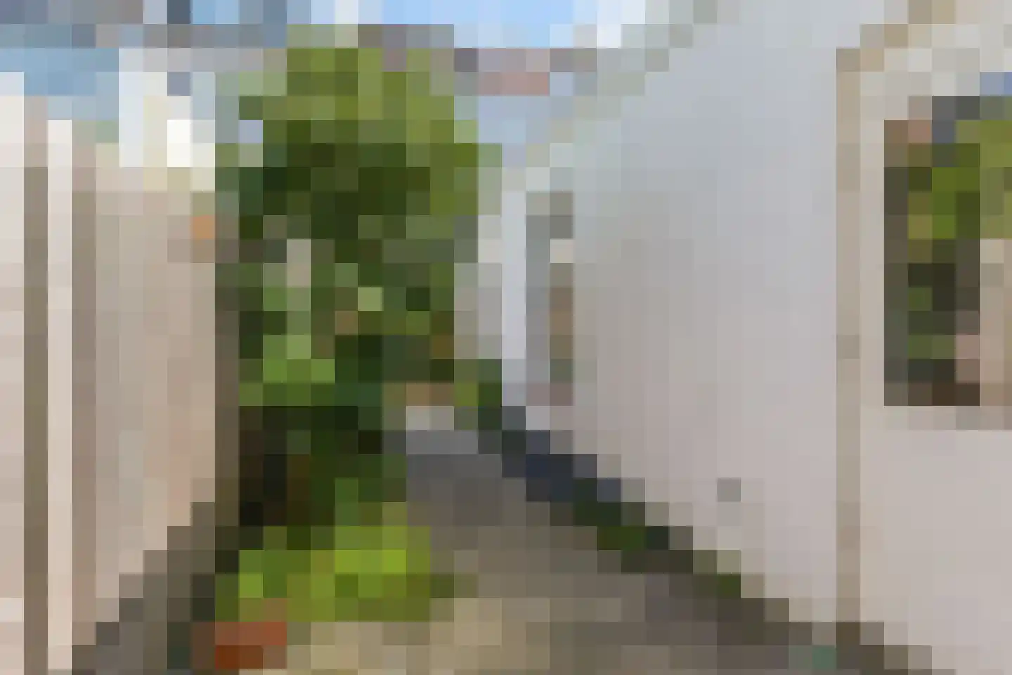 Voltastraat 54 Den Haag thumbnail 33
