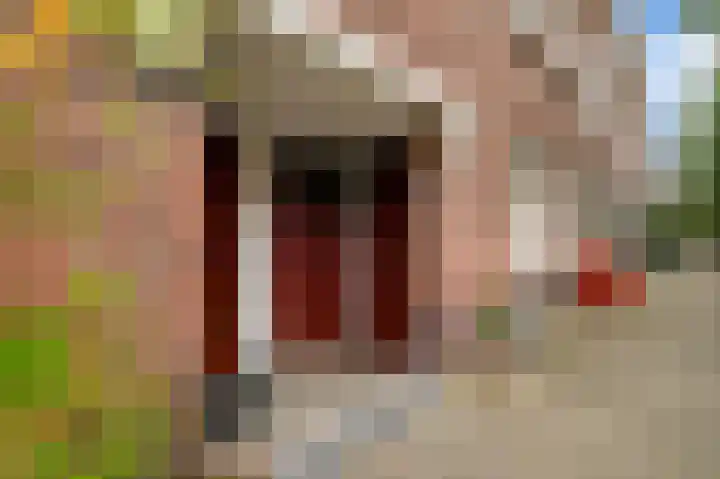 Voltastraat 6 H Amsterdam thumbnail 28