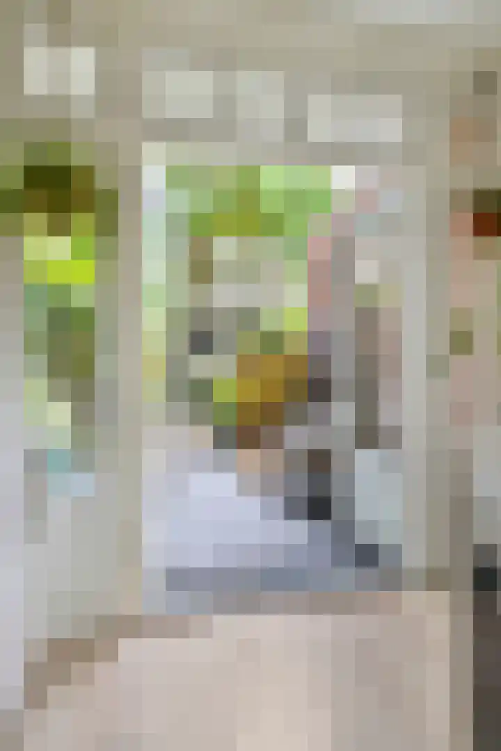 Voltastraat 6 H Amsterdam thumbnail 9