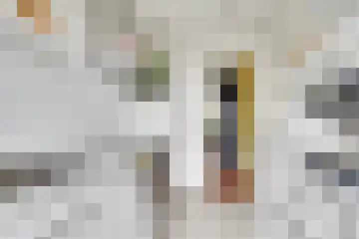 Voltastraat 7 BS Utrecht thumbnail 20
