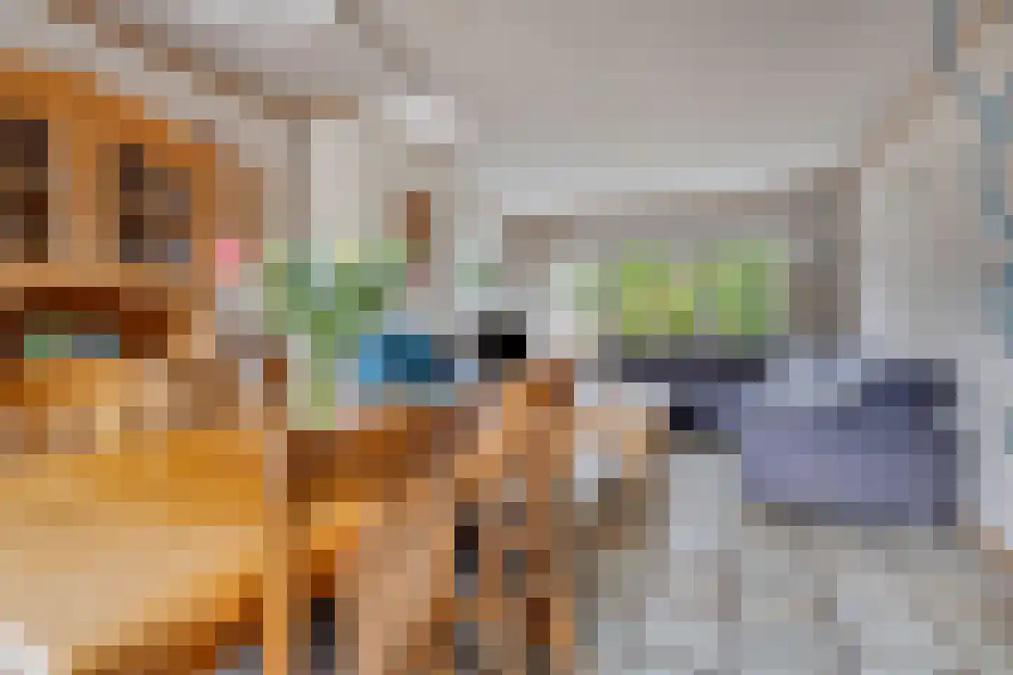 Voltastraat 8 Terneuzen thumbnail 14