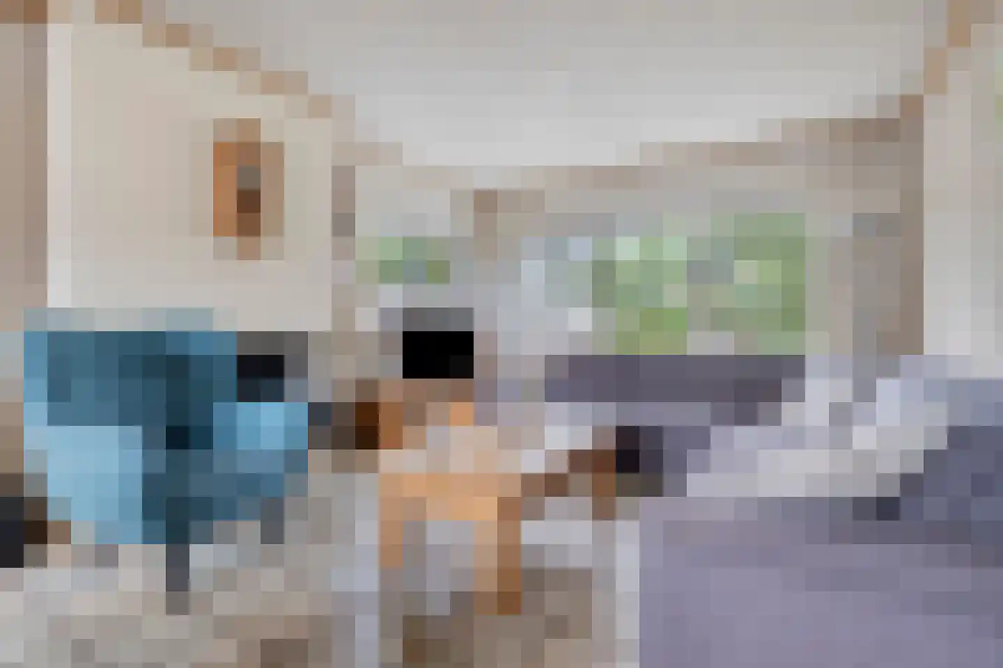Voltastraat 8 Terneuzen thumbnail 9