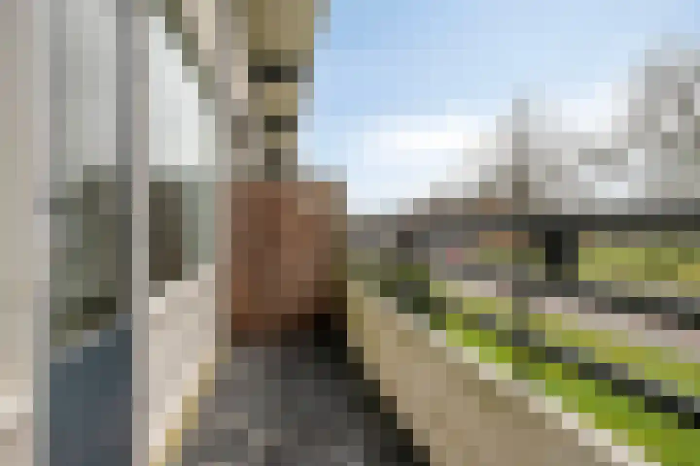 Voltastraat 9 Apeldoorn thumbnail 21
