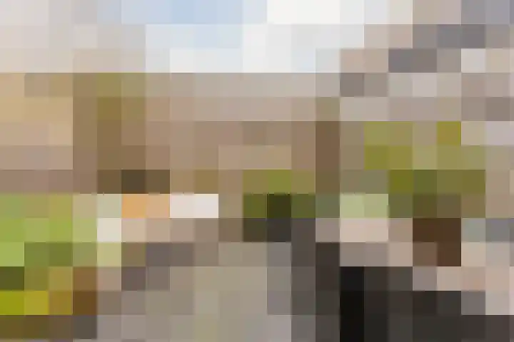 Voltastraat 9 Utrecht thumbnail 10