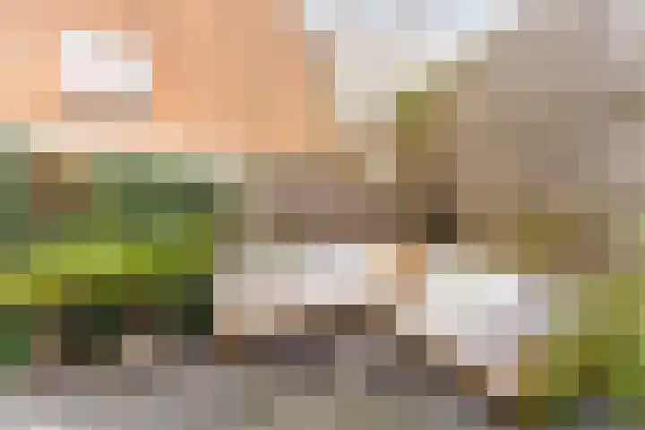 Voltastraat 9 Utrecht thumbnail 11