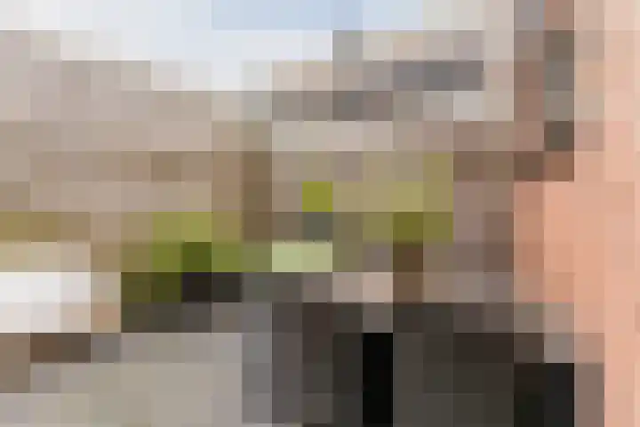 Voltastraat 9 Utrecht thumbnail 12