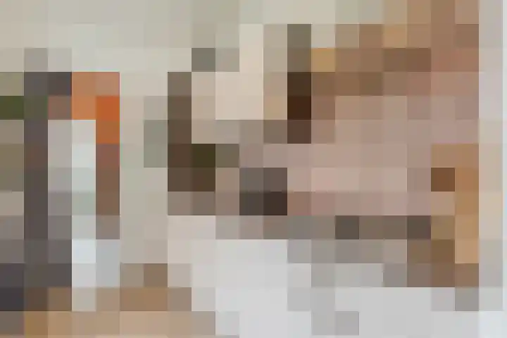 Voltastraat 9 Utrecht thumbnail 20