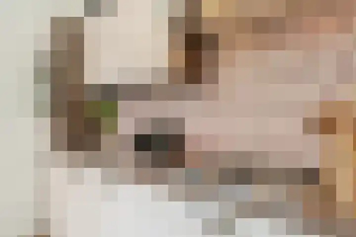 Voltastraat 9 Utrecht thumbnail 27