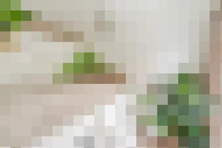 Voltastraat 9 Utrecht thumbnail 30