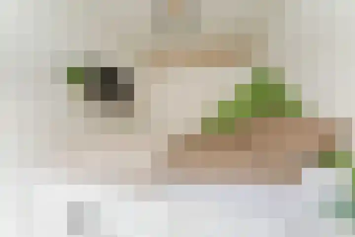 Voltastraat 9 Utrecht thumbnail 31