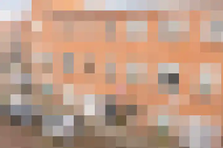 Voltastraat 9 Utrecht thumbnail 34