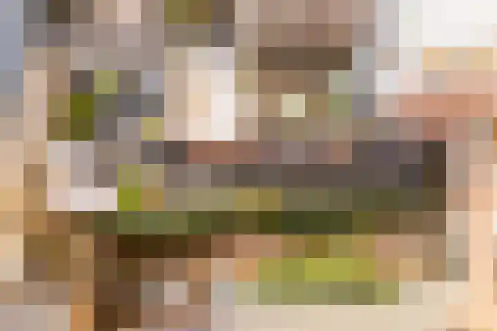 Voltastraat 9 Utrecht thumbnail 35