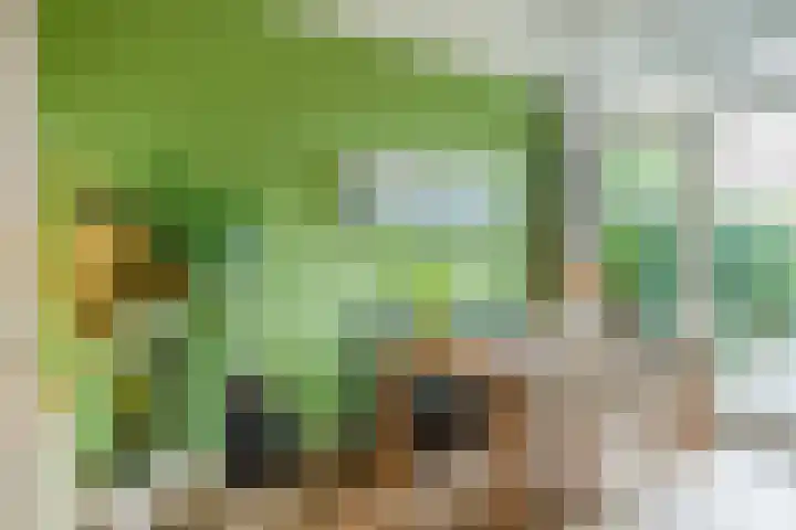 Voltastraat 9 Utrecht thumbnail 8