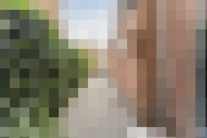 Voltastraat 9 Utrecht thumbnail 9