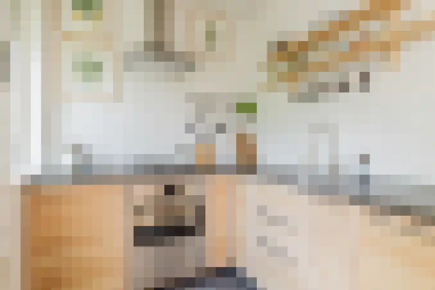 Voltaweg 4 Breda thumbnail 12