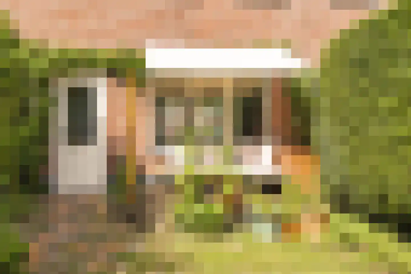 Voltaweg 4 Breda thumbnail 29
