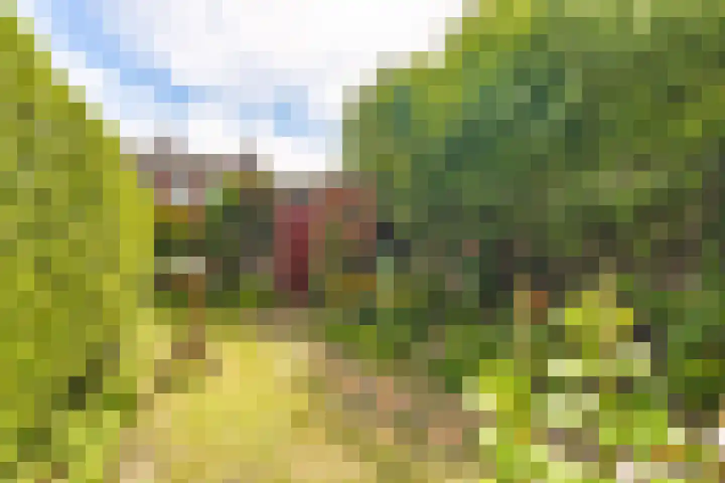 Voltaweg 4 Breda thumbnail 31