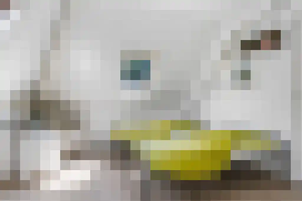 Voltawerk 43 Gorredijk thumbnail 34