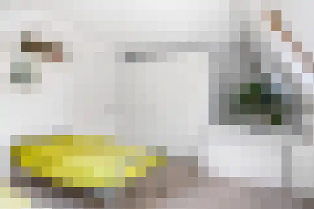 Voltawerk 43 Gorredijk thumbnail 35