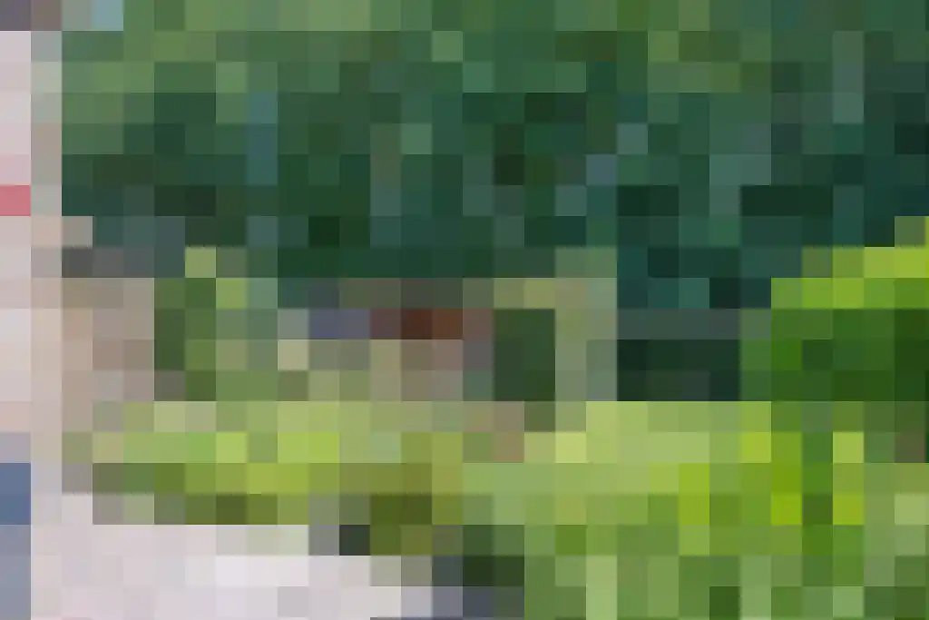Voltawerk 43 Gorredijk thumbnail 5
