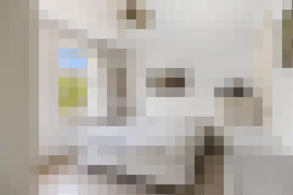 Voltawerk 43 Gorredijk thumbnail 9
