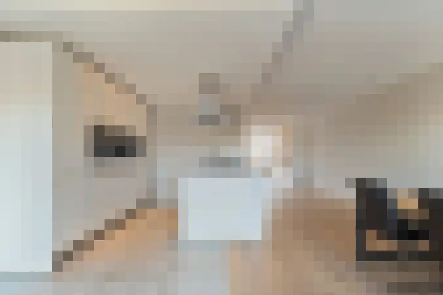 Voltelenstraat 3 Hardenberg thumbnail 18