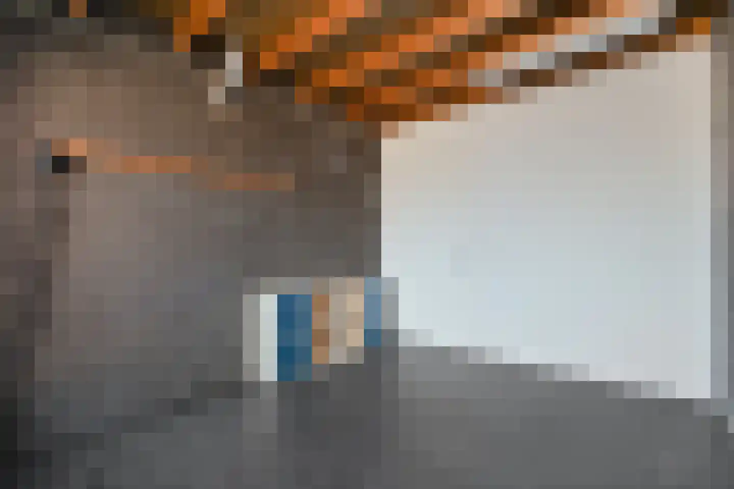 Voltelenstraat 3 Hardenberg thumbnail 23