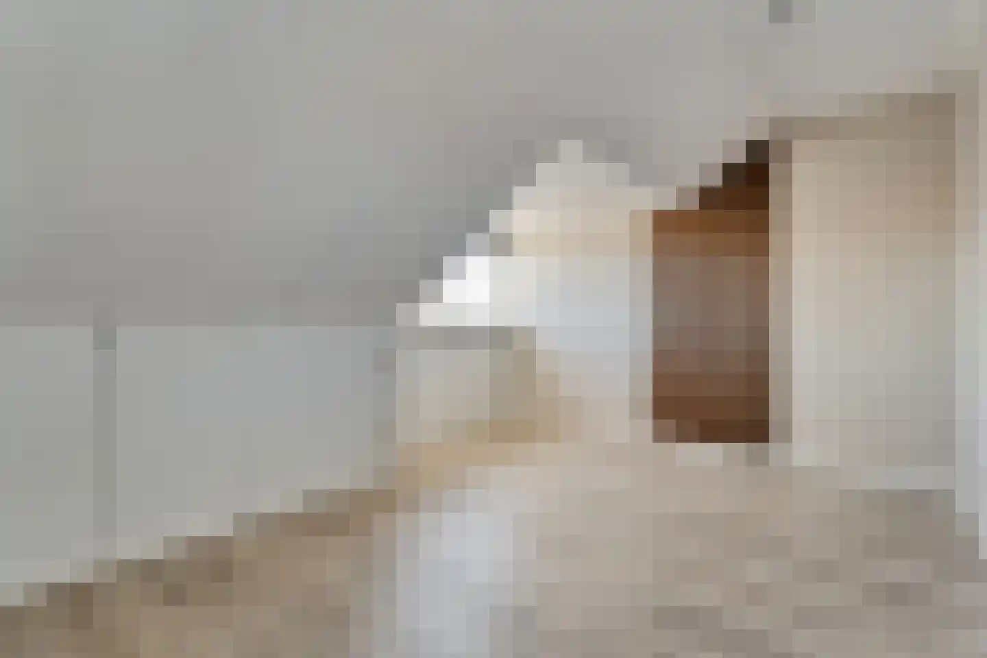 Voltelenstraat 3 Hardenberg thumbnail 40