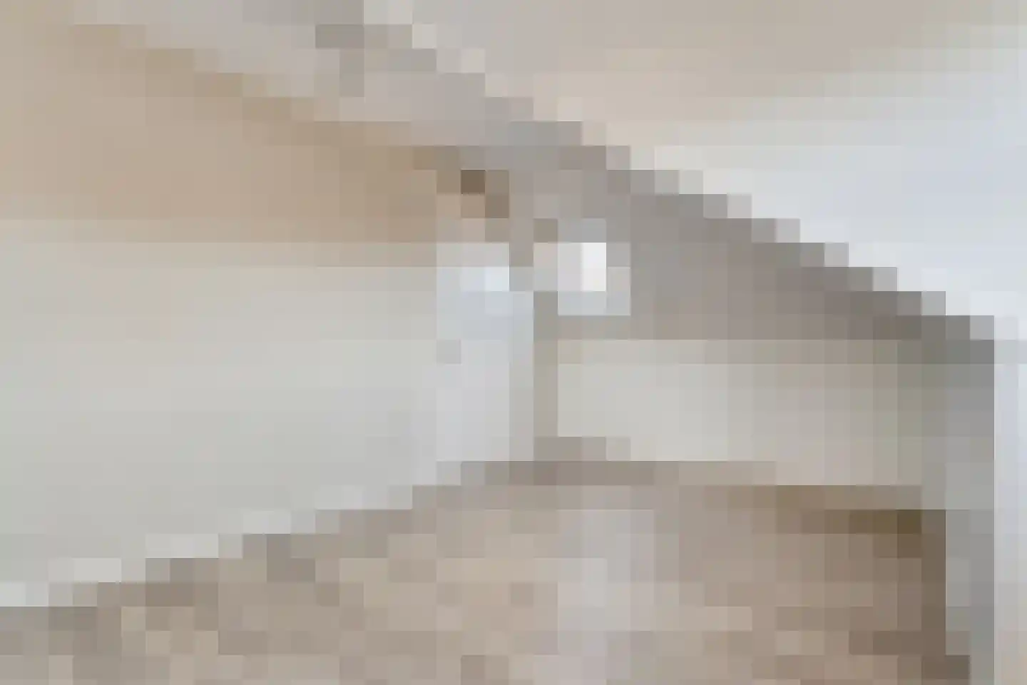 Voltelenstraat 3 Hardenberg thumbnail 41