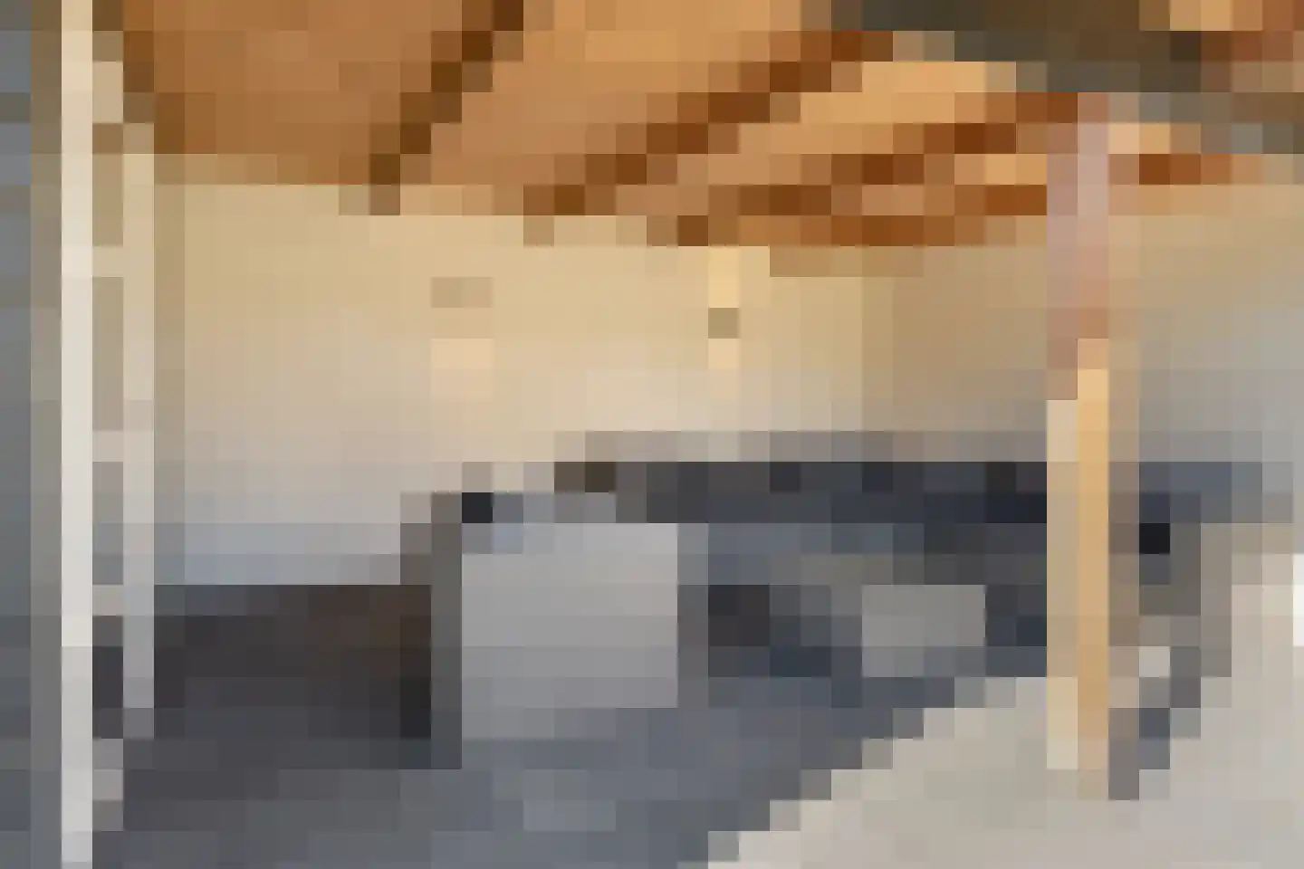 Voltelenstraat 3 Hardenberg thumbnail 49